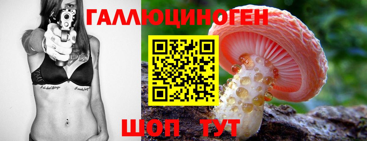 Черкесск  Галлюциногенные грибы GOLDEN TEACHER  Вход с VPN 